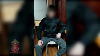 В Красноярске арестовали подозреваемого в издевательствах над беременной