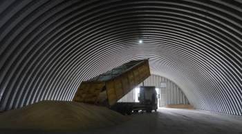 Молдавские фермеры потребовали запретить импорт зерна с Украины