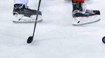 В МЧМ по хоккею в России примут участие 11 команд