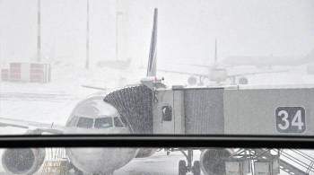 В московских аэропортах отменили более 50 рейсов