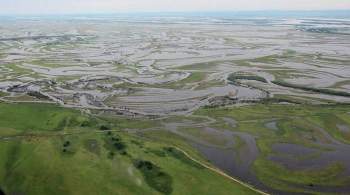 Вода ушла из трех сел в Хабаровском крае