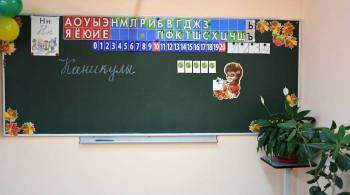 В Ленинградской области школьники уйдут на внеплановые каникулы