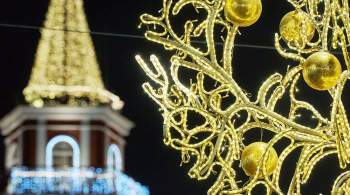 В Петербурге рассказали о праздновании Нового года в условиях ограничений