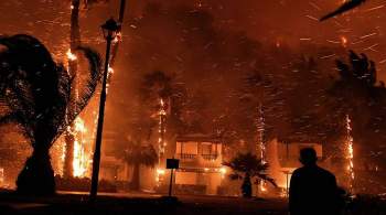 В Греции не могут справиться с лесным пожаром возле города Лутраки