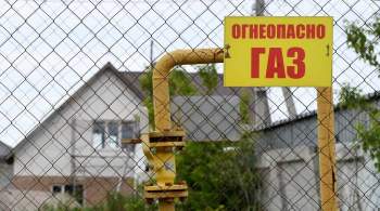 В Совфеде поддержали идею компенсировать траты россиян на газификацию
