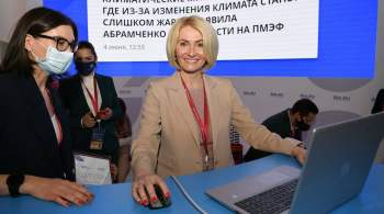 Абрамченко объяснила отклонение инициативы о запрете мусоросжигания