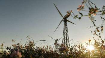 Системный оператор предложил ограничить возобновляемые источники энергии 