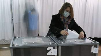 Посольство назвало число проголосовавших на выборах в Госдуму на Украине