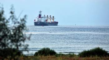 Из украинских портов в августе вышли 39 сухогрузов с продовольствием
