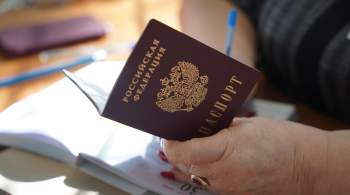 В Петербурге осужденных за тяжкие преступления мигрантов лишили гражданства 