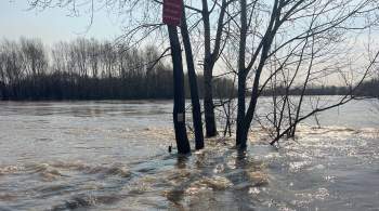 Власти Новокузнецка начали эвакуировать часть населения из-за паводка