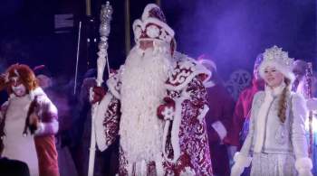 Дед Мороз в Великом Устюге зажег огни на новогодней елке 