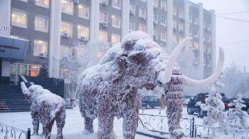 Жителей Якутии предупредили о 60-градусных морозах в Новый год