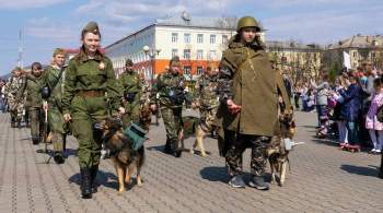 В Кузбассе полк собак прошагал торжественным маршем в День Победы