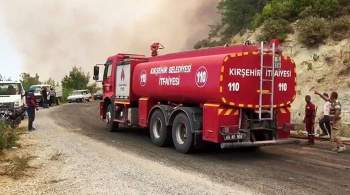 Число жертв лесных пожаров в Турции возросло до восьми