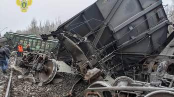 В Рязанской области 19 грузовых вагонов сошли с рельсов 