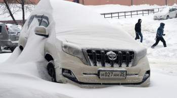 В Приморье почти 1,8 тысячи жителей остались без света из-за снегопада