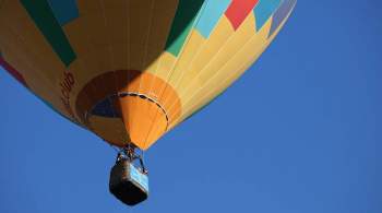 В Тульской области аварийно сел воздушный шар с 12 пассажирами