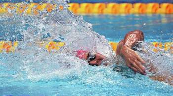 Сальников оценил выступление пловцов в первый день на чемпионате Европы