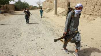 В МИД назвали ожидаемые сроки переговоров талибов с афганскими властями