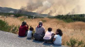 Эрдоган объявил пострадавшие от пожаров регионы Турции зоной бедствия