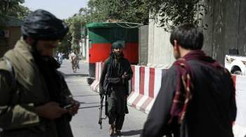 СМИ: не менее трех человек погибли при протестах в афганском Джелалабаде