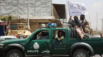 Представитель талибов опроверг информацию об обысках в домах