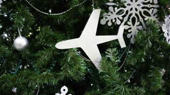 Эксперты выяснили, сколько будет стоить новогодняя ночь в самолете