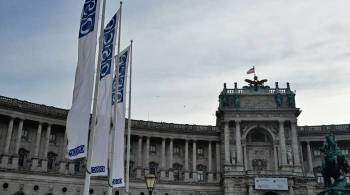 Польша инициирует внеочередное заседание ОБСЕ по просьбе Украины