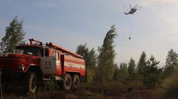 В третьем районе Рязанской области ввели режим ЧС из-за пожаров