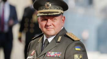 Главком ВСУ Залужный отказался принимать участие в заседании НАТО
