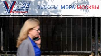 Более 65 тысяч человек дистанционно проголосовали на выборах мэра Москвы 