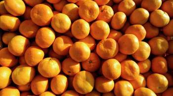 Агроном назвала части мандаринов, где могут содержаться пестициды