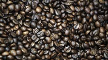 Неурожай кофе в Колумбии не повлияет на его цену, считает эксперт