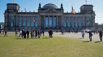 Немецкие  Левые  назвали стратегическую цель перед выборами в бундестаг