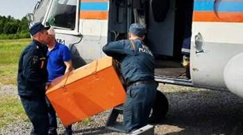 СК изучит личные дела пилотов рухнувшего на Камчатке Ан-26