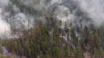 Дым от пожаров в Якутии прошел вдоль Байкала и накрыл Иркутск