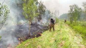 Лесной пожар приблизился к поселку Сангар в центральной Якутии