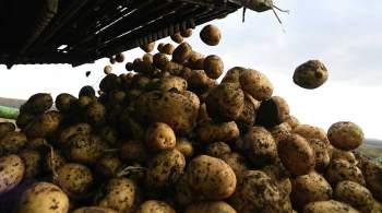 В якутское село сбросили почти тонну картошки с  кукурузника 