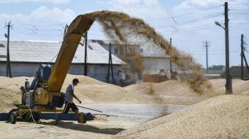 Эксперт рассказал о рекордном экспорте российского зерна за шесть лет 