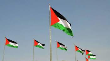 У места проведения Евровидения проходит акция в поддержку Палестины
