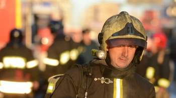 При пожаре в Алтайском крае погибли двое взрослых и ребенок