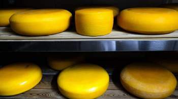 Итальянский эксперт восхитился качеством российских сыров