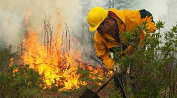 На очаги лесных пожаров в Якутии за сутки сбросили 377 тонн воды
