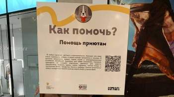 На выставке в Москве расскажут, как можно помочь бездомным животным