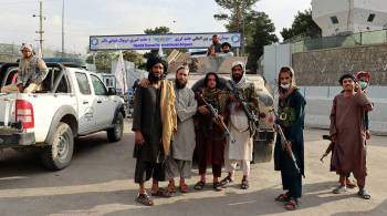 Афганский активист назвал главную причину прихода талибов к власти