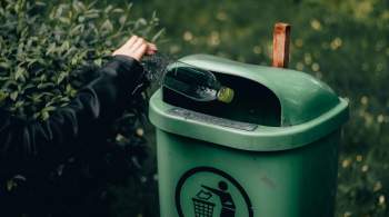 Раздельный сбор мусора стал доступен почти 60 процентам населения России 