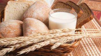 Минсельхоз прорабатывает меры поддержки производителей хлеба и молока