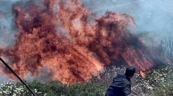 На греческом острове экстренно сел пожарный самолет