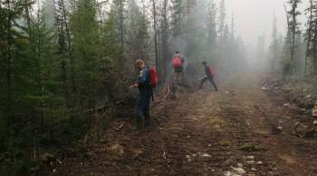 Территорию вокруг сел в Якутии очищают от поваленных деревьев из-за пожаров